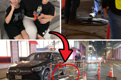DYING IN THE DARK: Devoted Mother Plunges to Her Death in Open Manhattan Manhole – Screaming “I’m Dying!” as Help Arrived Too Late