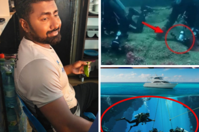 “They Took the Wrong Turn and Got Trapped”: Official Findings Reveal How Five Italian Divers Perished in Maldives Cave Tragedy