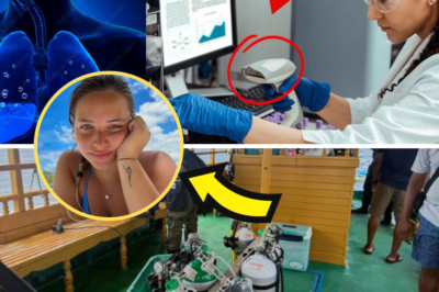 Shocking Update: Saltwater in Lungs of Maldives Divers Does Not Match Seawater at Discovery Site – Experts Reveal Chilling Explanation