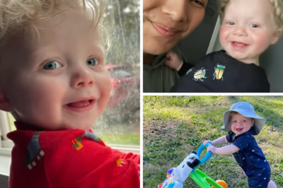 Foster Parents Begged for Help: Seattle Couple’s Repeated Warnings About 4-Year-Old Aiden Scott Bevins Were Ignored Before Boy Was Found Buried in Relative’s Backyard