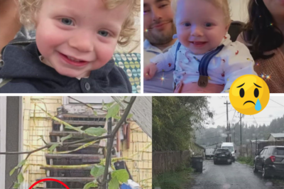 “We Love Him Like Our Child”: Foster Parents Gary and Magali Lopez Devastated After Learning Boy They Raised Was Found Buried in Relative’s Backyard