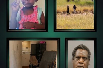 “THE VOID OF SYSTEMIC FAILURE”: SIX DAYS OF FREEDOM, A LIFETIME OF GRIEF IN THE SHARON GRANITES HOMICIDE