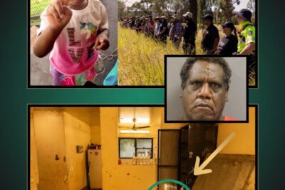 “THE WRAPPED SECRET”: THE UNSETTLING DISCOVERY SITE AND THE VIOLENT END TO THE JEFFERSON LEWIS MANHUNT