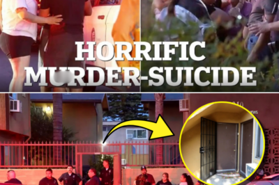 Father Kills Twin Sons in Shocking Canoga Park Murder-Suicide as LAPD Probes Hidden Motive