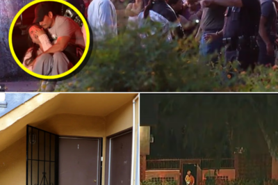 Neighbors Reveal Eerie Detail Before Canoga Park Father Killed Twin Sons and Himself