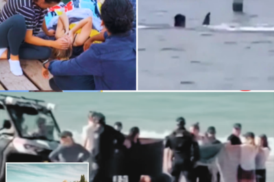 BREAKING: Swimming with Friends Turned Nightmare – “I Thought I Had Lost My Friend” Cries Witness as Massive Shark Ripped into 35yo Woman at Coogee Beach 🔥🩸