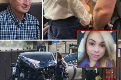 Hero Mom Mowed Down While Saving a Stranger’s Life – Cardiologist Flees Scene, Gets Just 8 Months Behind Bars