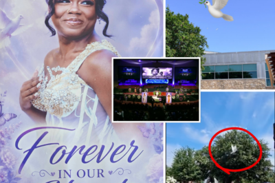 Why 5 White Doves? Heartbroken Parents Reveal the Painful Meaning Behind Their Final Goodbye to 19-Year-Old Daughter