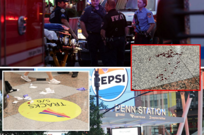 Horror at Penn Station: 5 S.t.ab.b.e.d in Bloody Random Rampage as Shocking CCTV Shows Crowd Frozen in Fear – No One Lifted a Finger to Help