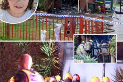 The Heartbreaking Final Screams: 3-Year-Old Jordan Dashwood Dies in Werribee Inferno as Desperate Family Fights to Save Him