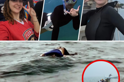 Flight Attendant’s Body Washed Ashore with Boat-Strike Wounds – But Autopsy Clues Point to Something Far More Sinister Than a Simple Accident