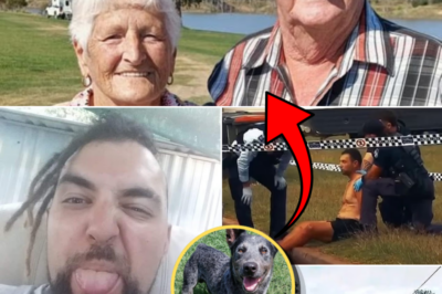 Investigators Examine Whether Dispute Involving Rescue Dog Played Role in Fatal Attack on Queensland Pensioner