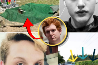 New Reporting Renews Attention on Stephen Smith Case as Investigators Face Calls to Review Emerging Claims