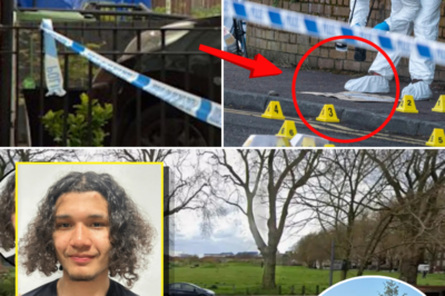 Secret Escape Map Revealed: New Evidence in Brutal Killing of 15-Year-Old Brayan David Saldarriaga Near Hackney Canal
