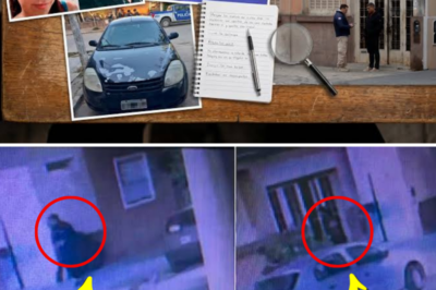 SURVEILLANCE TIMELINE EXPOSES FINAL ROUTE 🚨 Critical Camera Evidence And Taxi Testimony Reveal New Details Before Agostina Vega Vanished