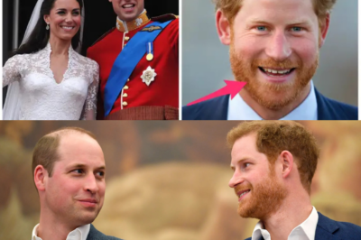 “PRINCE WILLIAM’S SECRET PLAN FOR HARRY?” Explosive Palace Rumors Claim a Dramatic Sussex Showdown Could Begin the Moment He Becomes King