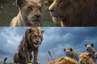 Simba’s Kingdom Faces Its Greatest Heartbreak in The Lion King 3 — And Kiara’s Forbidden Love Could Change the Pride Lands Forever