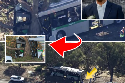 Heartbreaking Tragedy: Devoted Father Dies in Horrific Transperth Bus Crash After Ordinary Morning Commute Turns Deadly