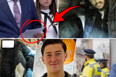 CHILLING TRUTH EXPOSED: K.i.l.l.e.r’s ‘Woke Mind Virus’ Drove Brutal S.t.a.b.b.i.n.g of Henry Nowak – New Indictment Reveals Shocking Network of Accomplices