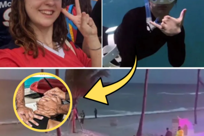 Flight Attendant’s Tragic End: Kellie Melinda Williams Killed by Boat While Snorkeling Paradise Reefs – Fishermen’s Heartbreaking Discovery on Florida Beach Shocks All