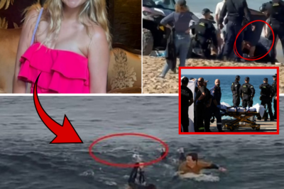 Mother of One Mauled by Massive Great White in ‘Safe’ Waters – Same Fatal Error That Doomed Others