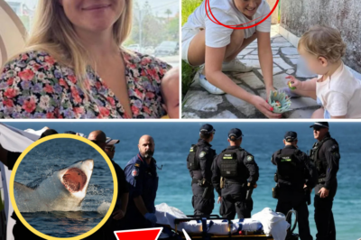 HORRIFYING MOMENT A YOUNG MOTHER WAS DRAGGED UNDERWATER… But She FOUGHT BACK With ONE Trick She Read Online! 🦈😱