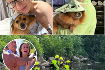 “Our Boy Didn’t Know How to Swim” – Heartbroken Parents Reveal 11-Year-Old Mackenzie Swift Couldn’t Swim Before Vanishing in River Don, Family Now Living Every Parent’s Worst Nightmare! 😭🙏