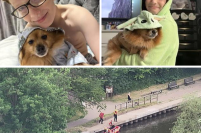TRAGIC HEARTBREAK IN MEXBOROUGH: 11-Year-Old Boy Mackenzie Swift Named as Missing Child Feared Dead After Vanishing into River Don – Family Devastated as Search Enters Third Day