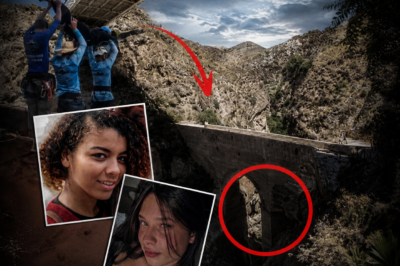 She Joked About Jumping Off a Bridge — Then Staff Threw Her Without a Rope: Her Final Blood-Curdling Scream Haunts Witnesses