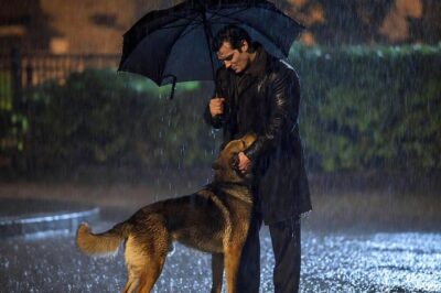 Superman in Tears: Henry Cavill Breaks Down After Finding Loyal Dog Kal Soaked in Rain, Waiting in the Storm