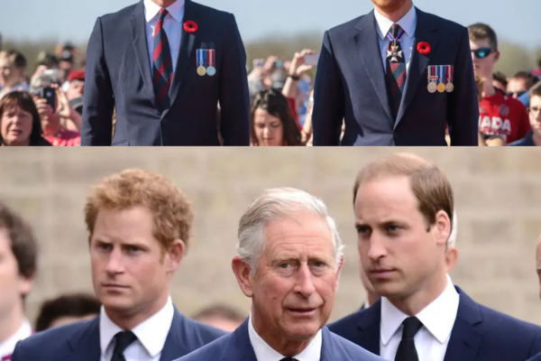 Prince Harry and Prince William’s Feud Reportedly Boils Down to ...