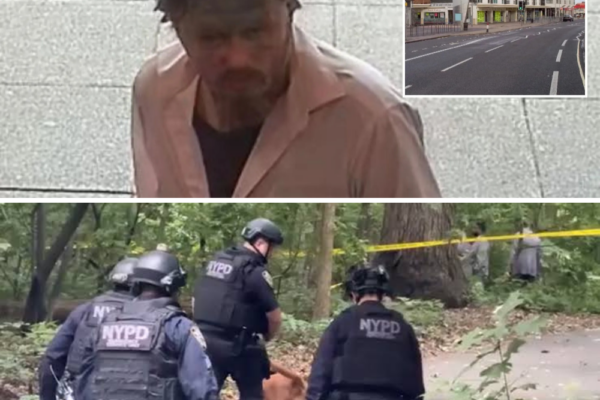 Manhunt Underway After Woman in Her 20s Allegedly Sexually Assaulted a...