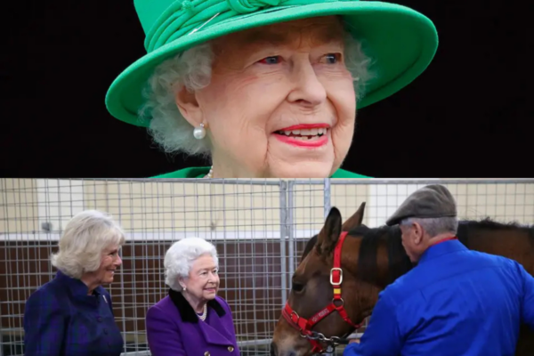 Queen Elizabeth II’s Meeting Was Suddenly Interrupted by a Phone...