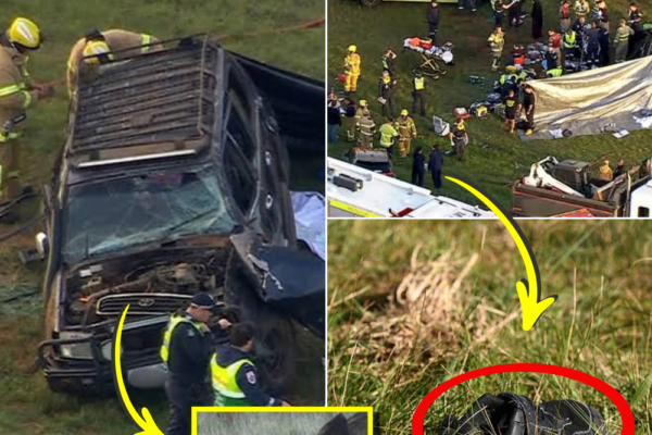 THEY WERE JUST 7 AND 11 — AN EYEWITNESS REVELATION SHATTERS THE AFTERM...