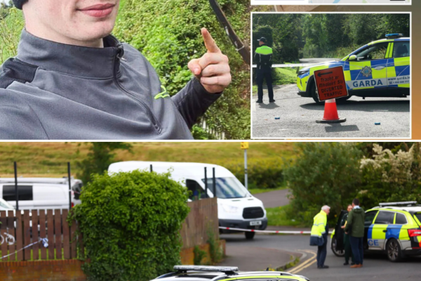 A Horrifying 24 Hours on the Road: The Hidden Clues and Tragic Reality...